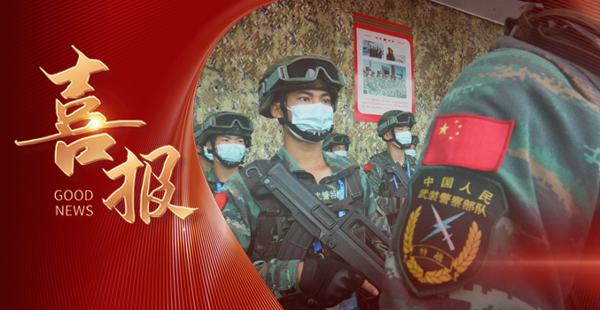 &raquo;&raquo;PG国际中标中国武警部队课题